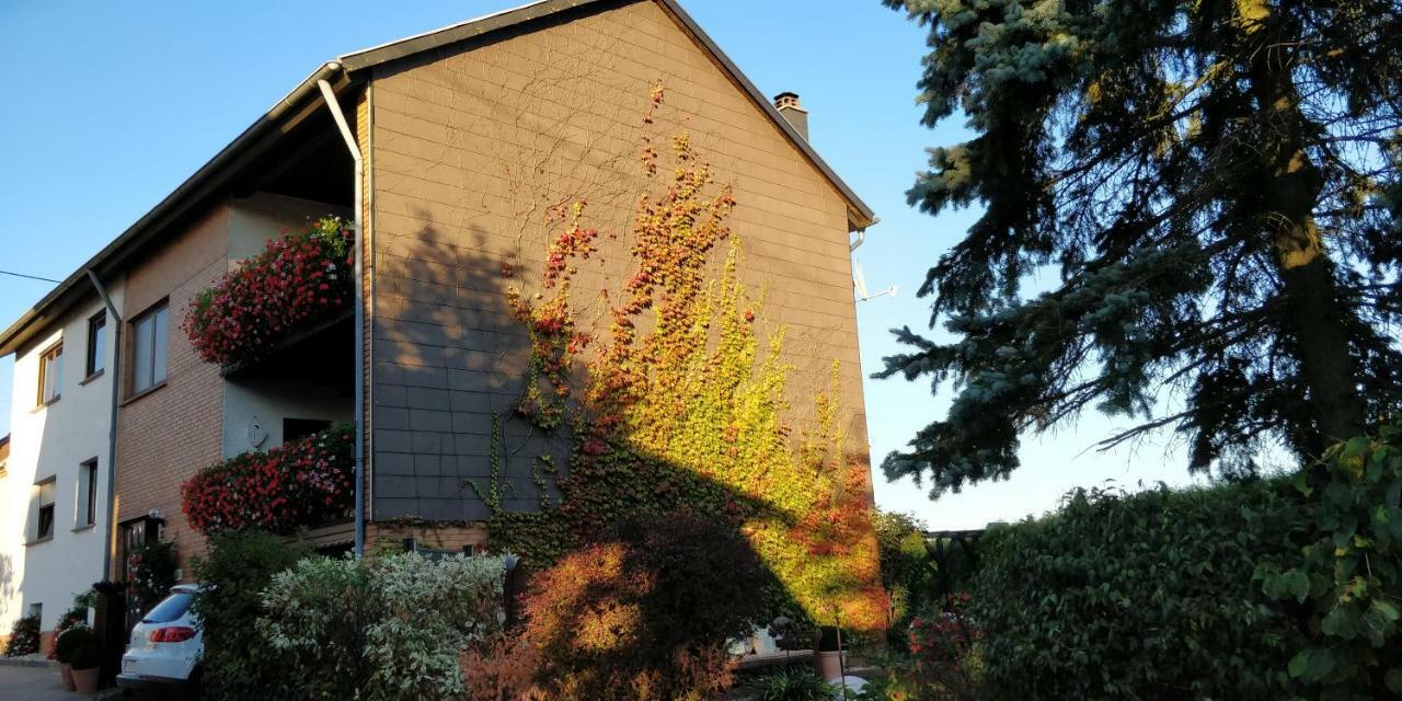 Marpingen Ursula'S Ferienwohnung מראה חיצוני תמונה